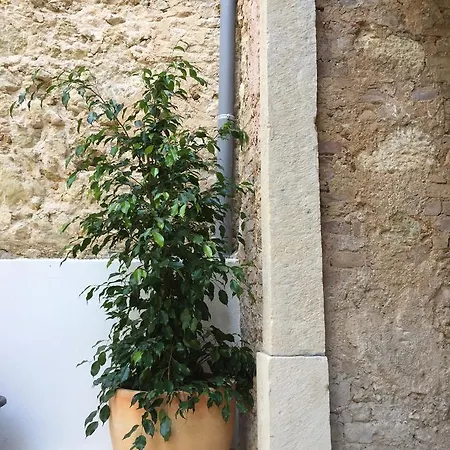 Wine מלון 4*